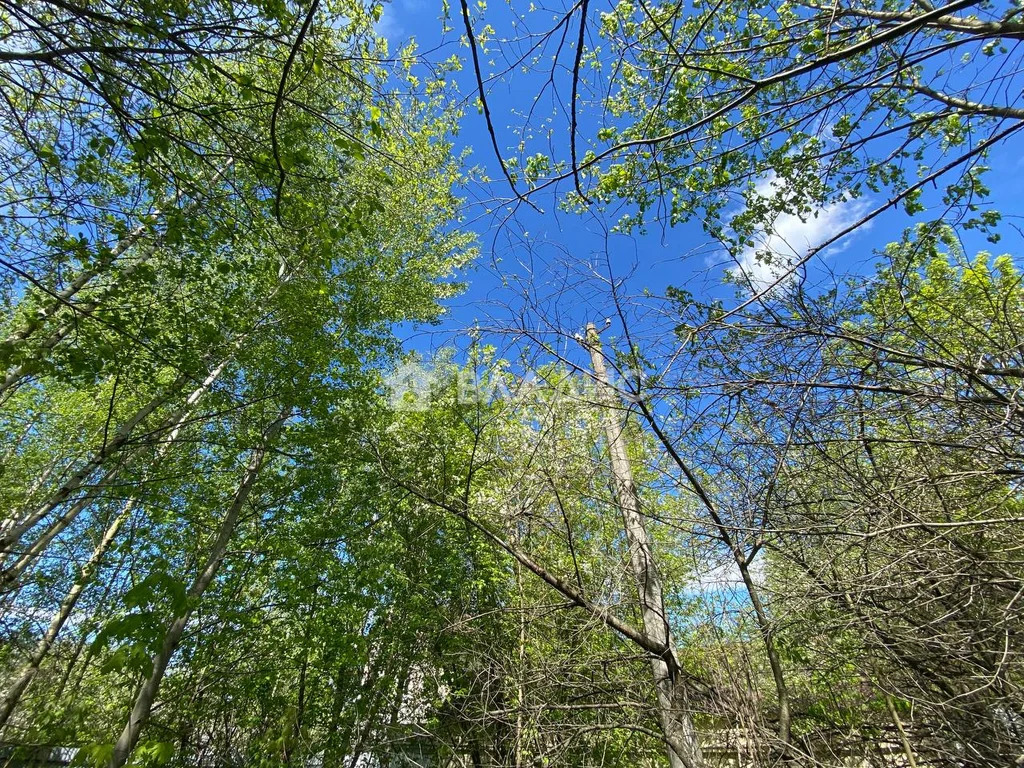 Ленинский городской округ, деревня Жабкино, Троицкая улица,  земля на ... - Фото 12