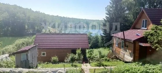 Продажа дома, Новосибирск, снт Труд - Фото 4