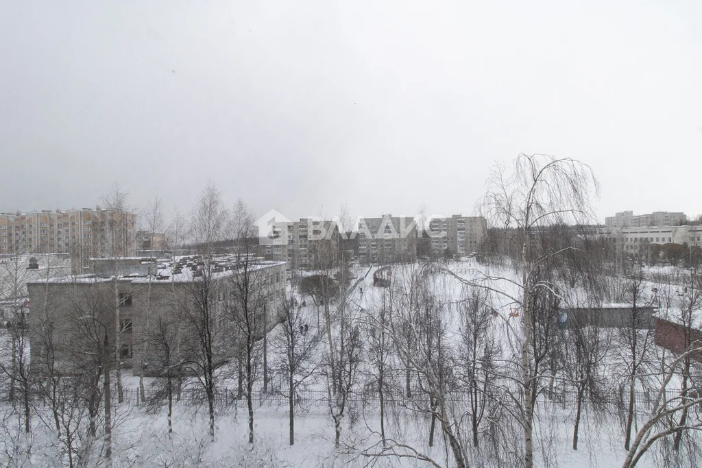 городской округ Владимир, улица Институтский городок, д.19, ... - Фото 22