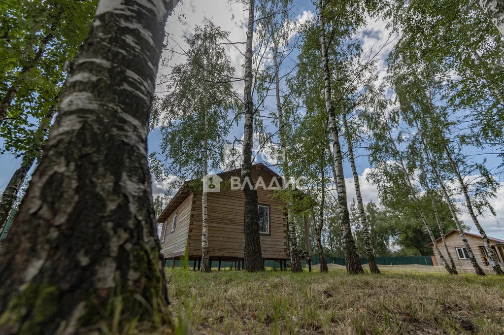 Деревня корпуса Лосино Петровский.