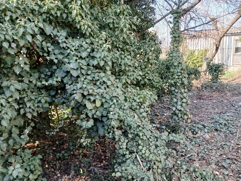 Продажа участка, Севастополь, улица Загордянского - Фото 4