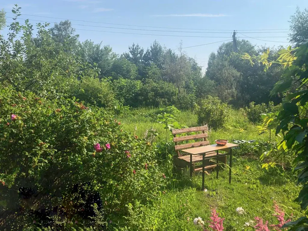 Купить дом в окружении леса можно уже сейчас! - Фото 5