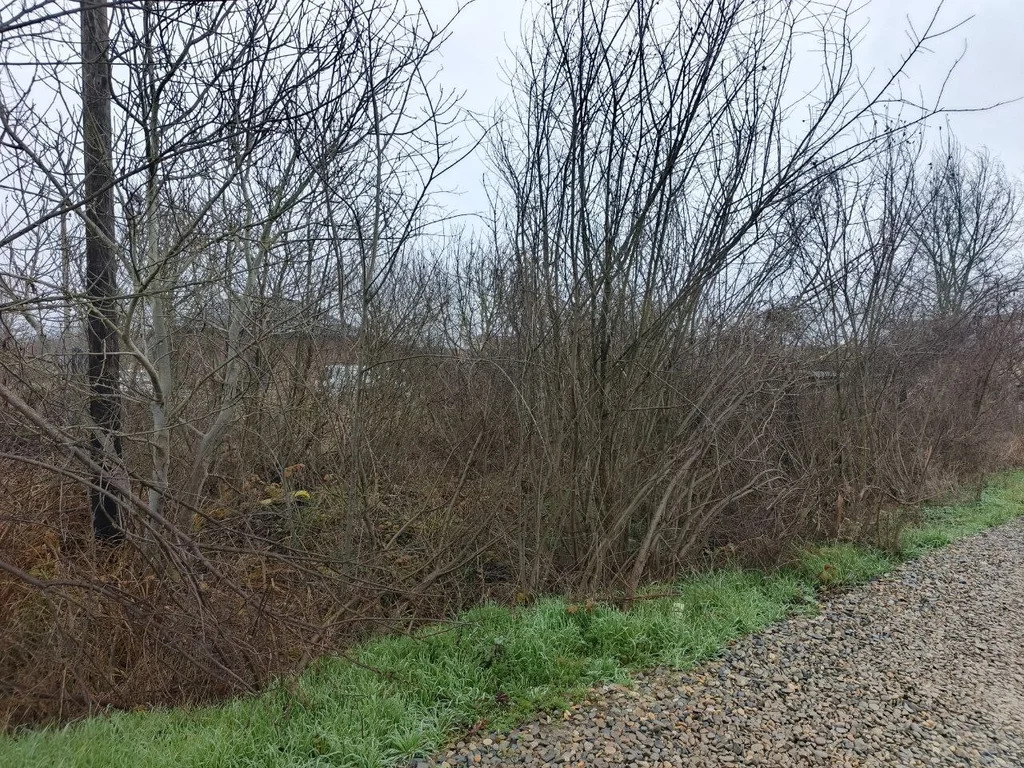 Продажа участка, Северский район - Фото 6