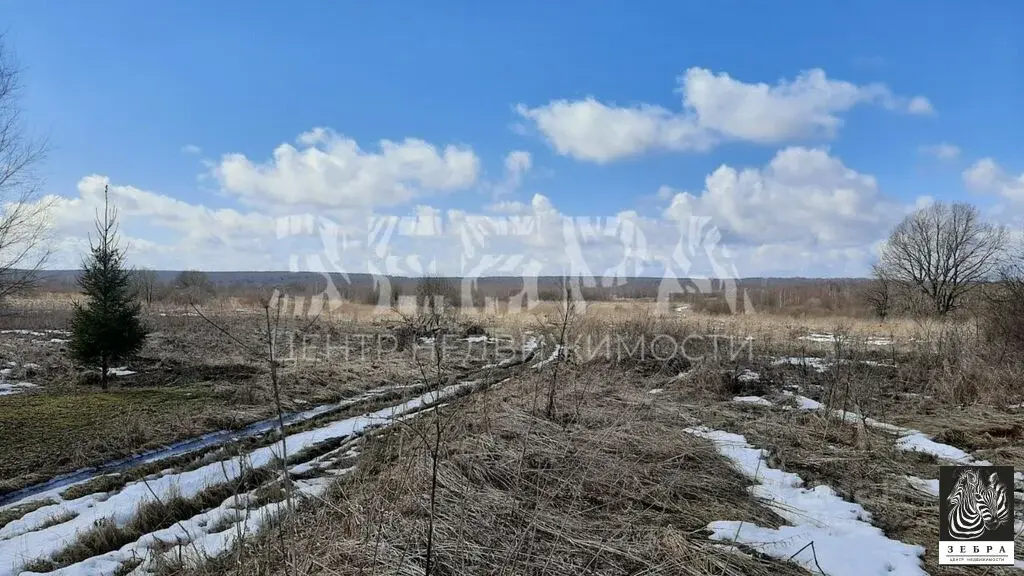 Продаю участок 25.0 сот. Владимирская область, Александровский район, ... - Фото 1