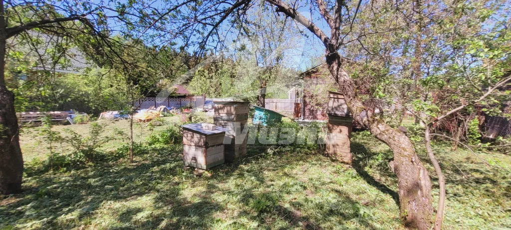 Продажа участка, Андреевка, Солнечногорский район - Фото 12