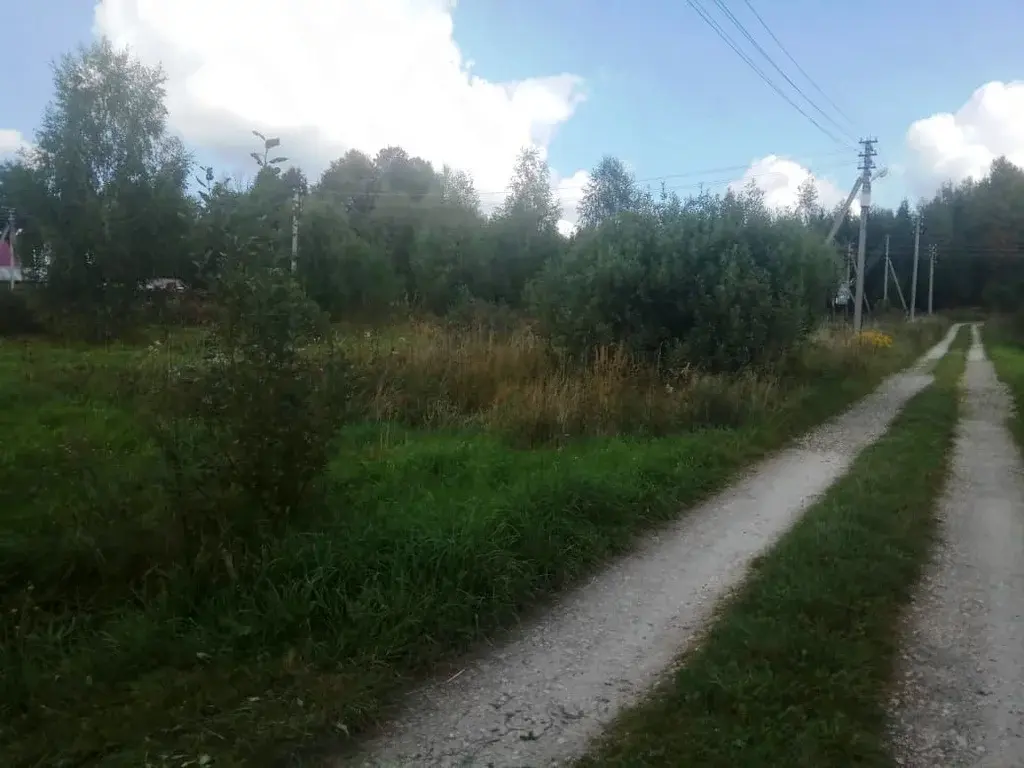 снт 50 лет победы. сайт снт 50 лет. сайт снт 50 лет. снт 50 лет победы митяево наро фоминский район. вельево солнечногорский район.