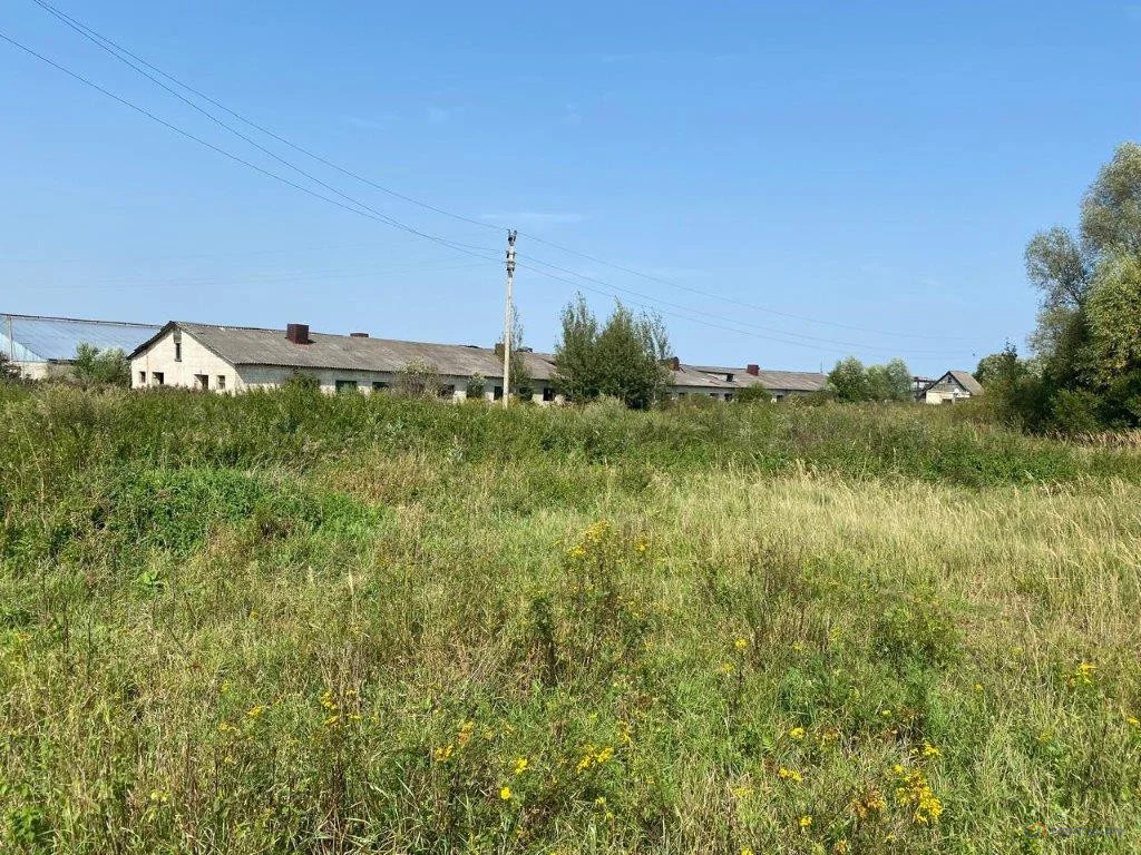 Продажа ПСН, Ивашково, Гагаринский район - Фото 1