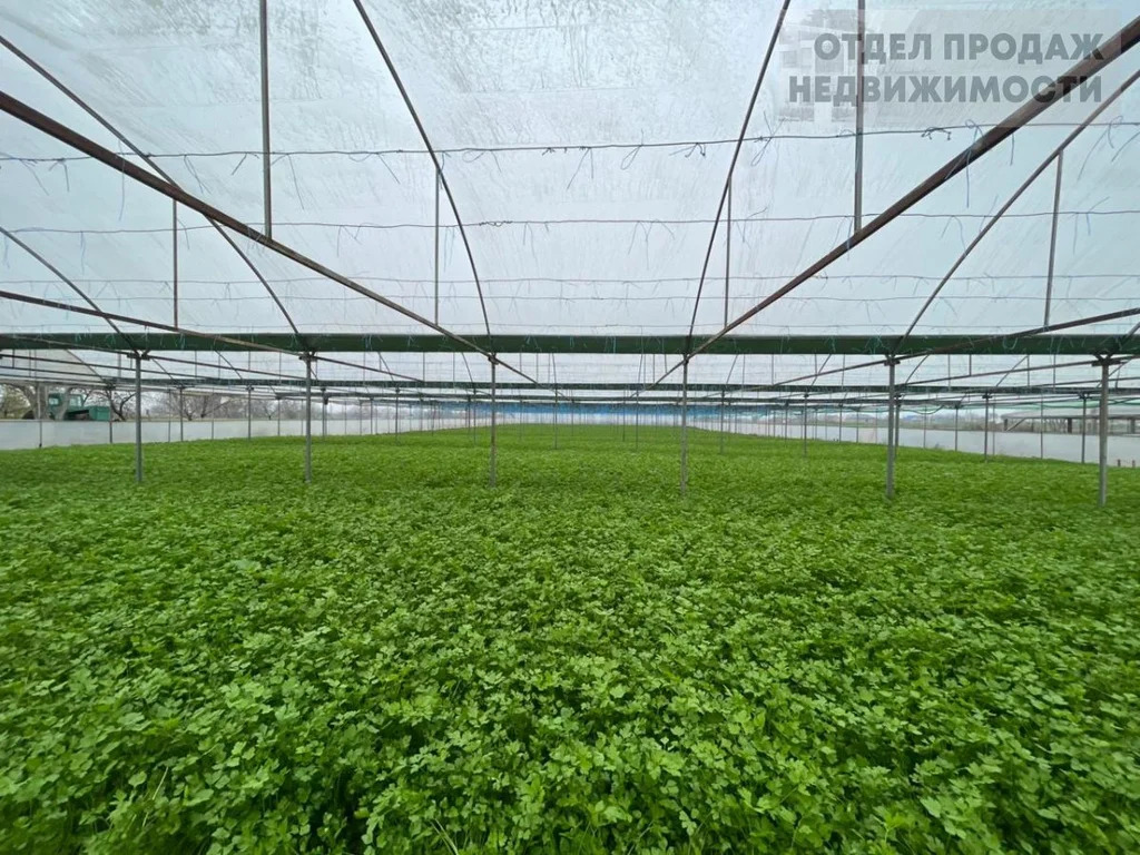 Участок с готовым бизнесом - Фото 1