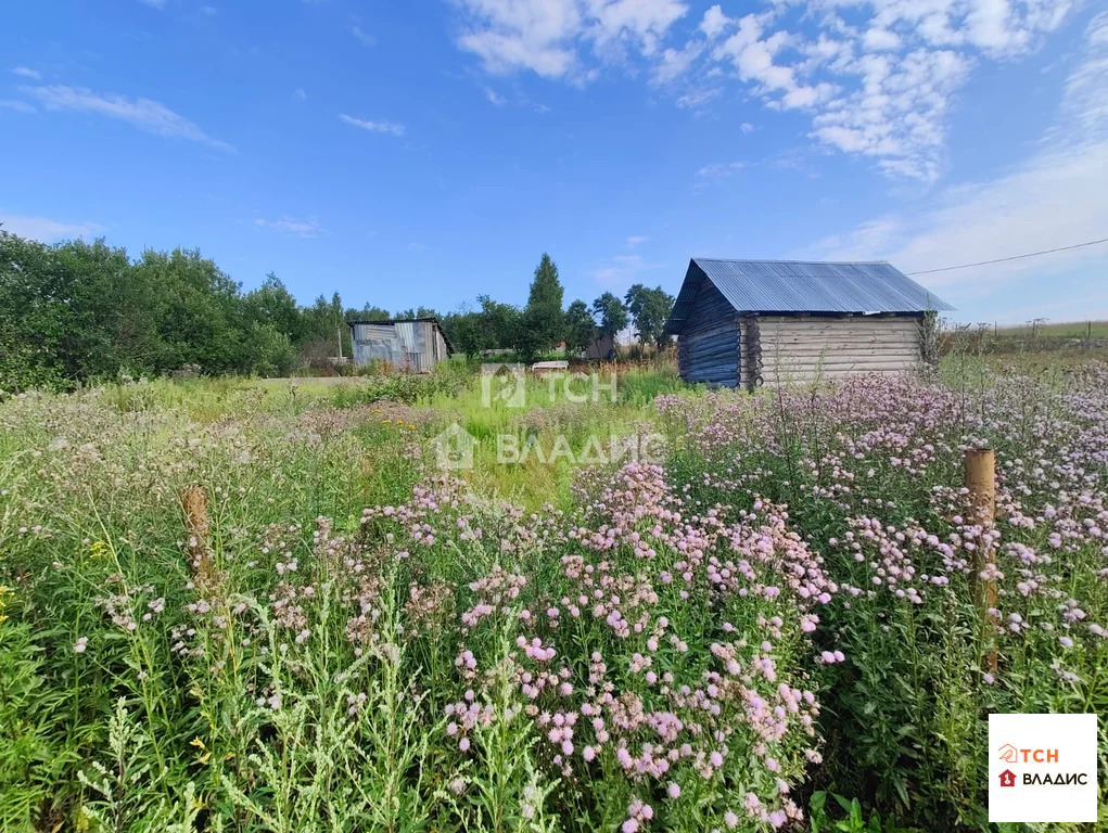 Земельный участок на продажу, Сергиево-Посадский городской округ, СНТ ... - Фото 12