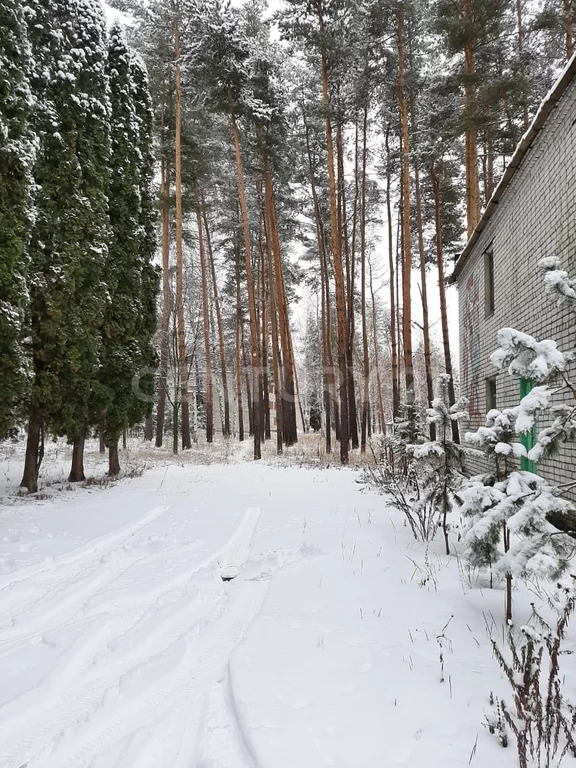 Продажа ПСН, Колодезское, Задонский район, ул. Солнечная - Фото 0