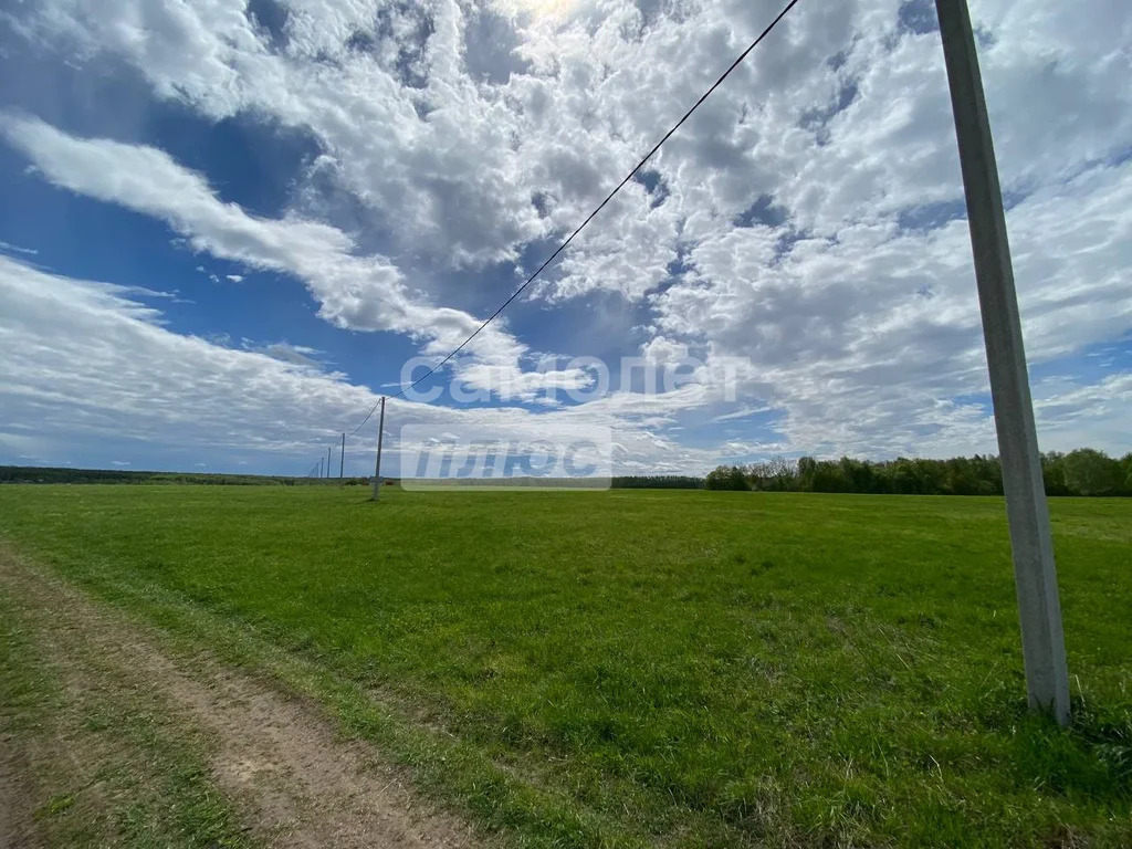 Продажа участка, Струково, Ленинский район, Струково д. - Фото 3