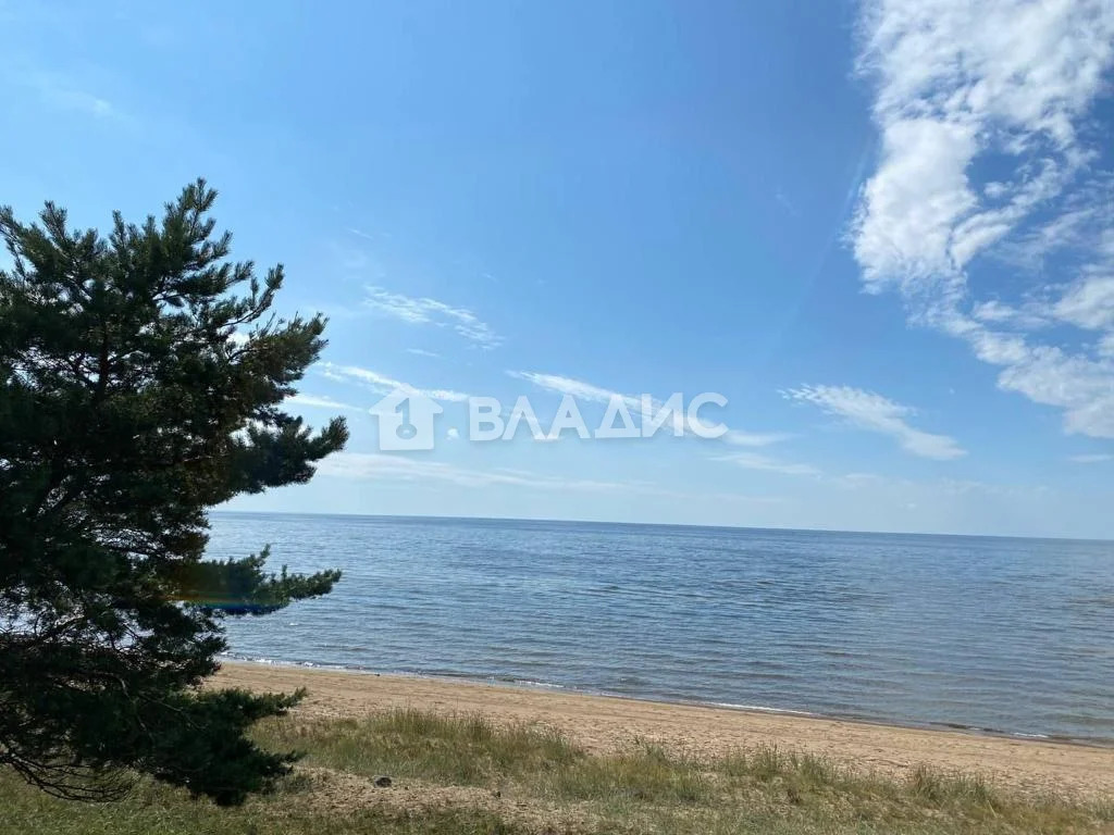 Гдовский район, деревня Сторожинец,  земля на продажу - Фото 2
