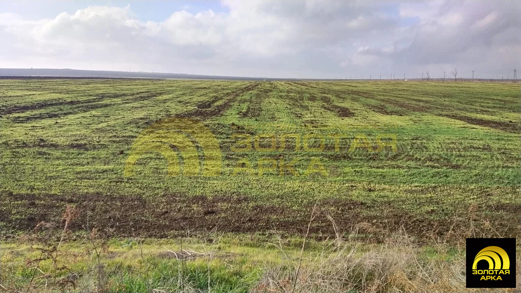 Продажа участка, Тамань, Темрюкский район - Фото 6