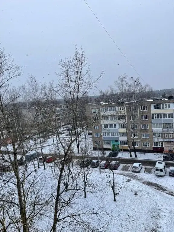 Продажа трехкомнатной квартиры 62.0м Московская область, Егорьевск, .. - Фото 21