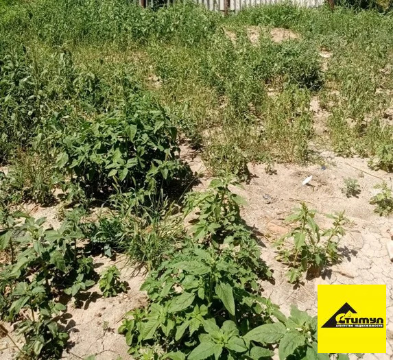 Продажа участка, Ейский район - Фото 1