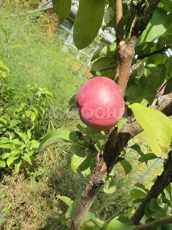 Продажа дома, Новосибирск - Фото 5