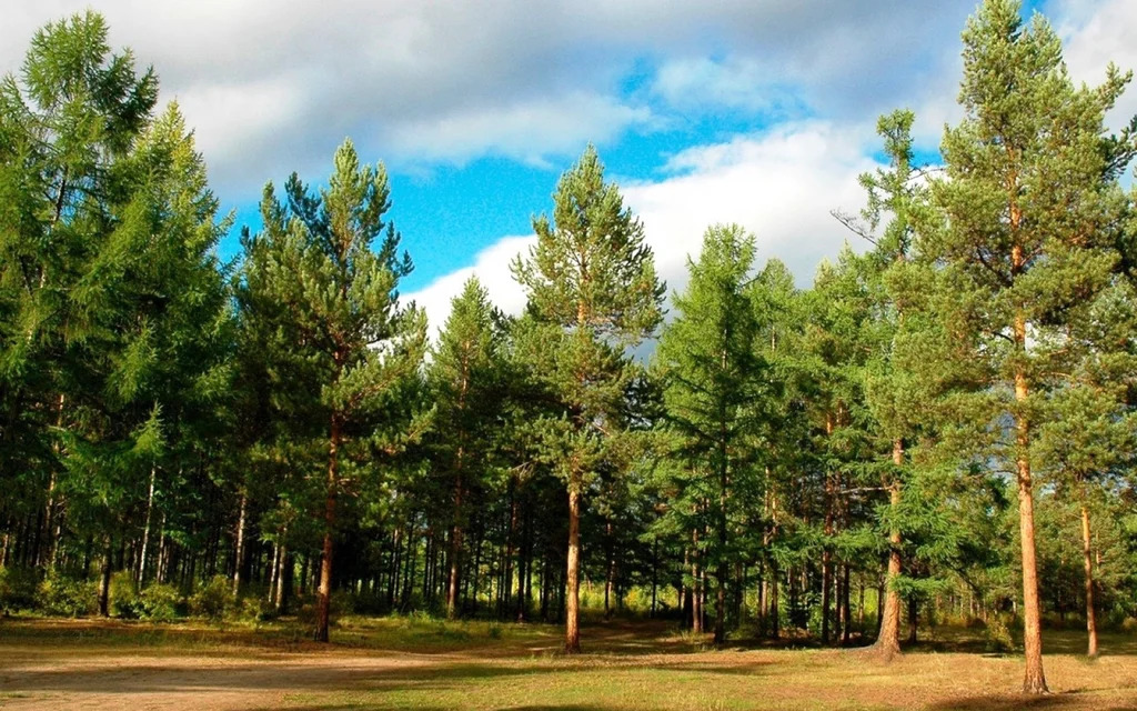 Оханский городской округ, Оханск, улица Ленина, земля на продажу - Фото 3