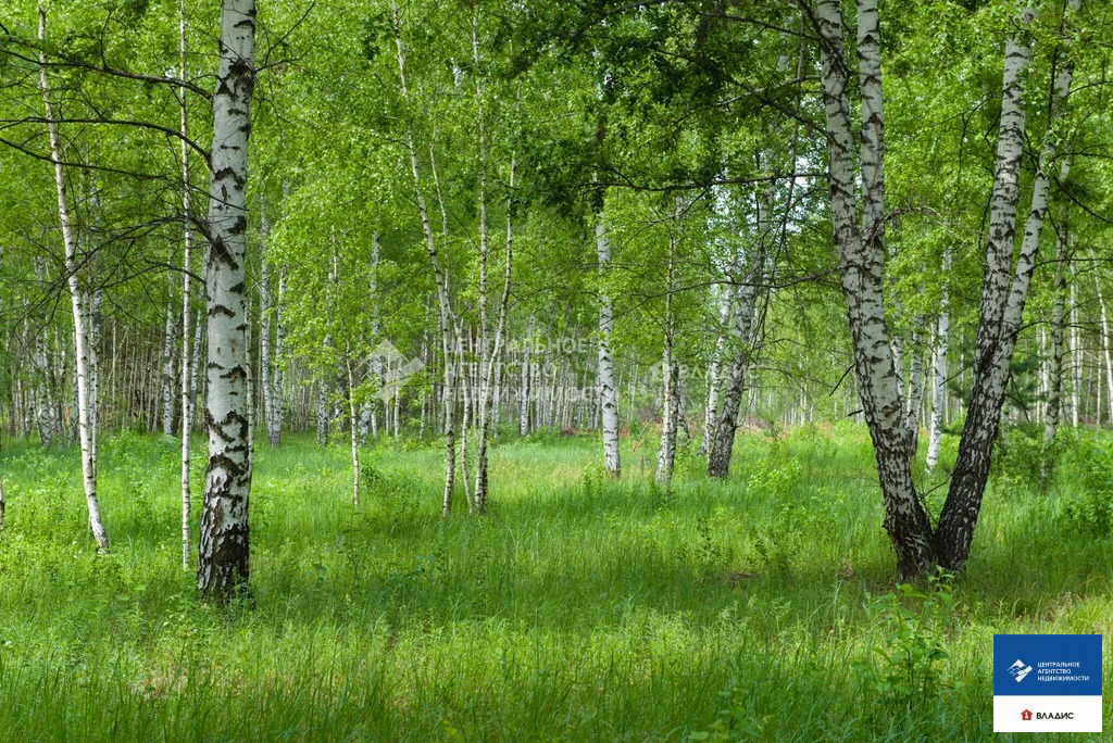 Продажа участка, Рязанский район - Фото 1