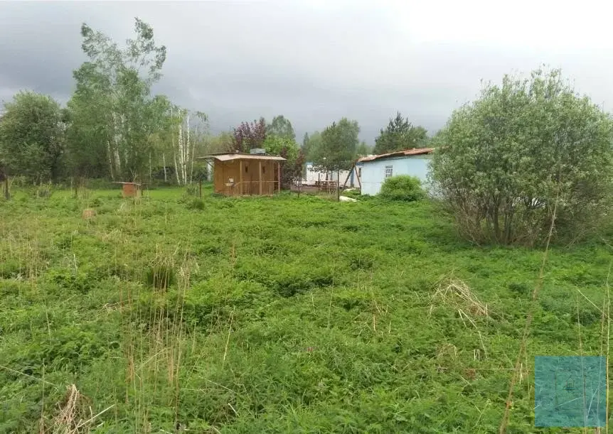 10,7 сотки в д. Лаптево, СНТ Дружба - Фото 6