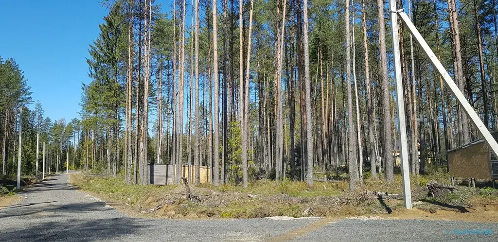 Продажа ЗУ в СНТ Сосновый бор, Куйвозовское СП, ж/д ст. 47 км - Фото 18