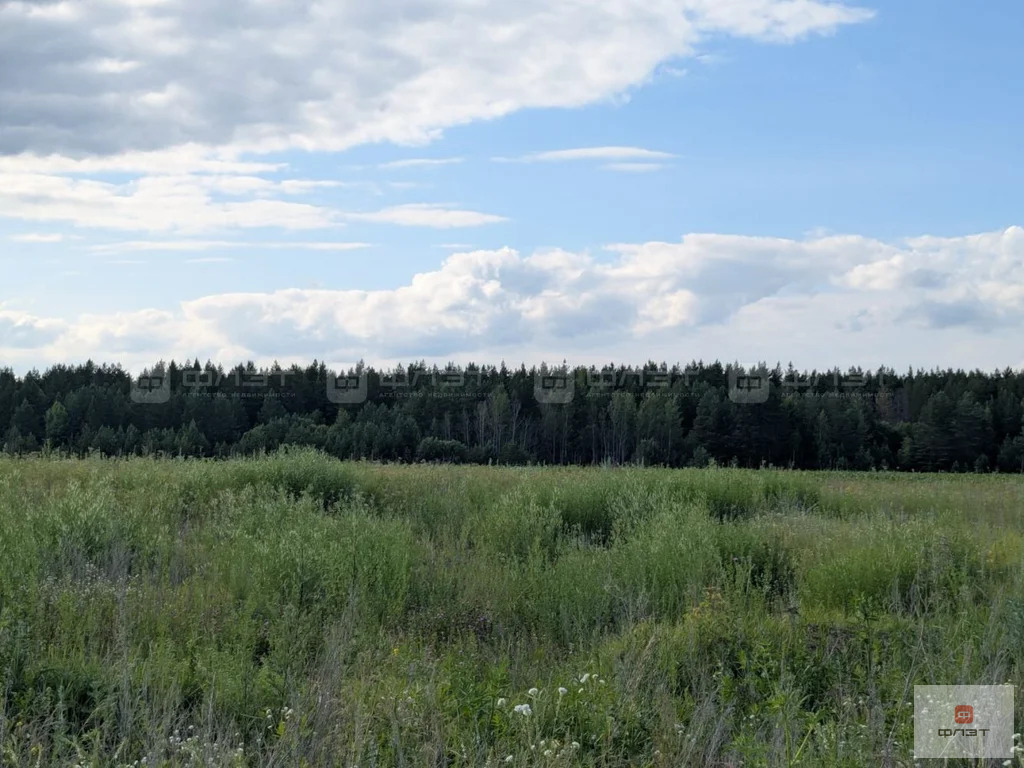 Продажа участка, Конь, Пестречинский район, ул. Счастливая - Фото 8