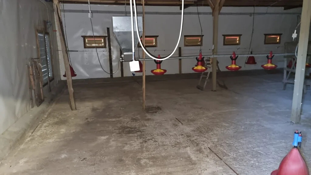 Продажа участка, Барышево, Выборгский район - Фото 13