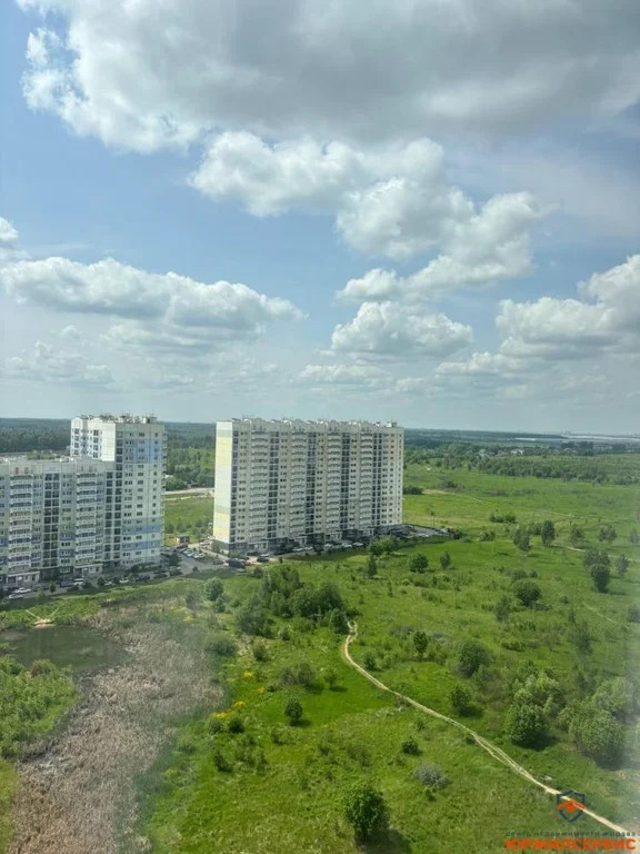 Продажа квартиры, Домодедово, Домодедово г. о., улица Курыжова - Фото 32