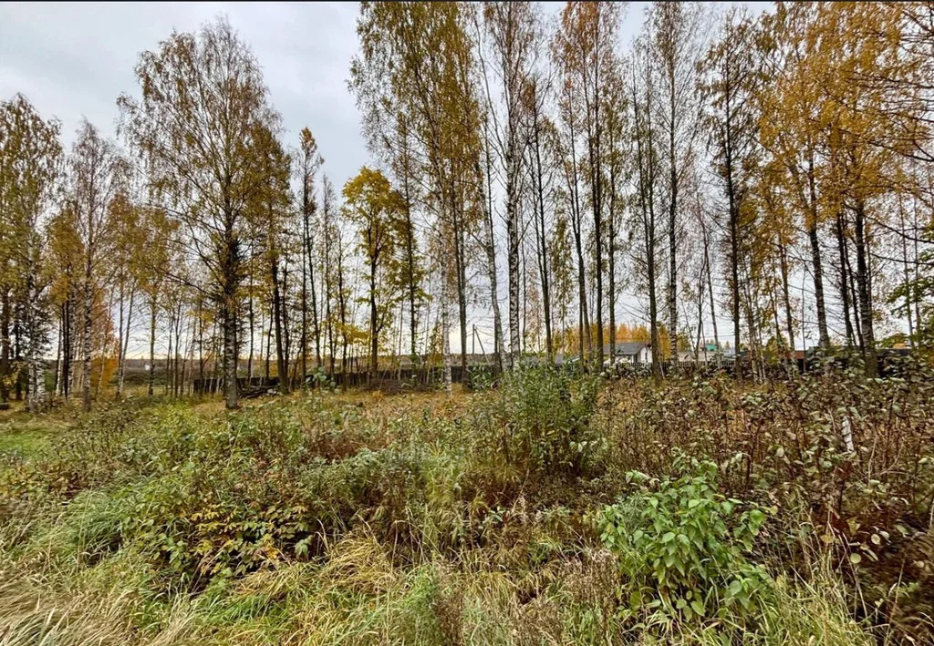 УЧАСТОК 6.9 Сот. с коммуникациями на первой линии трассы Скандинавия! - Фото 2