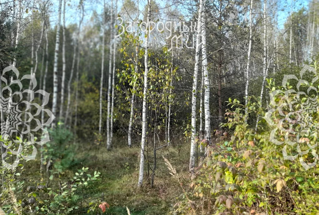Продам участок, Дмитровское шоссе, 85 км от МКАД - Фото 1