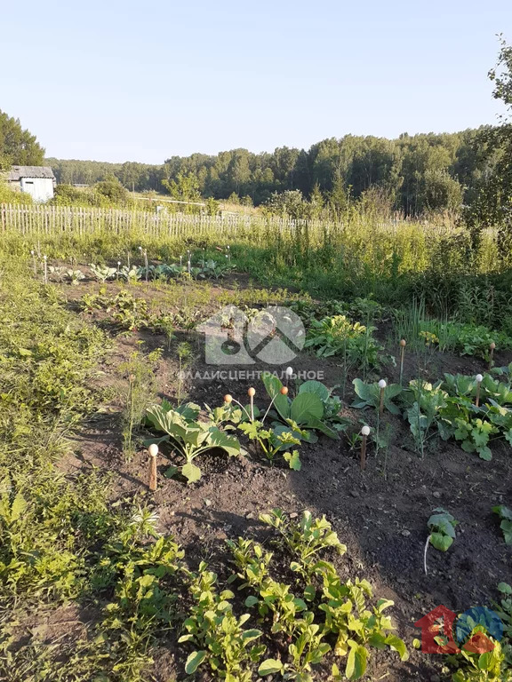 Искитимский район, деревня Калиновка, Школьная улица, дом на продажу - Фото 10