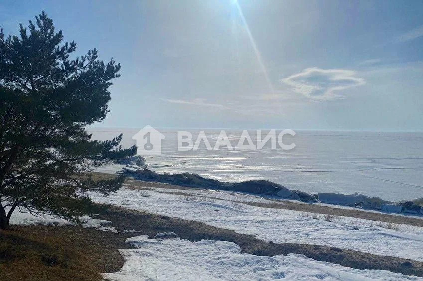 Гдовский район, деревня Сторожинец,  земля на продажу - Фото 8