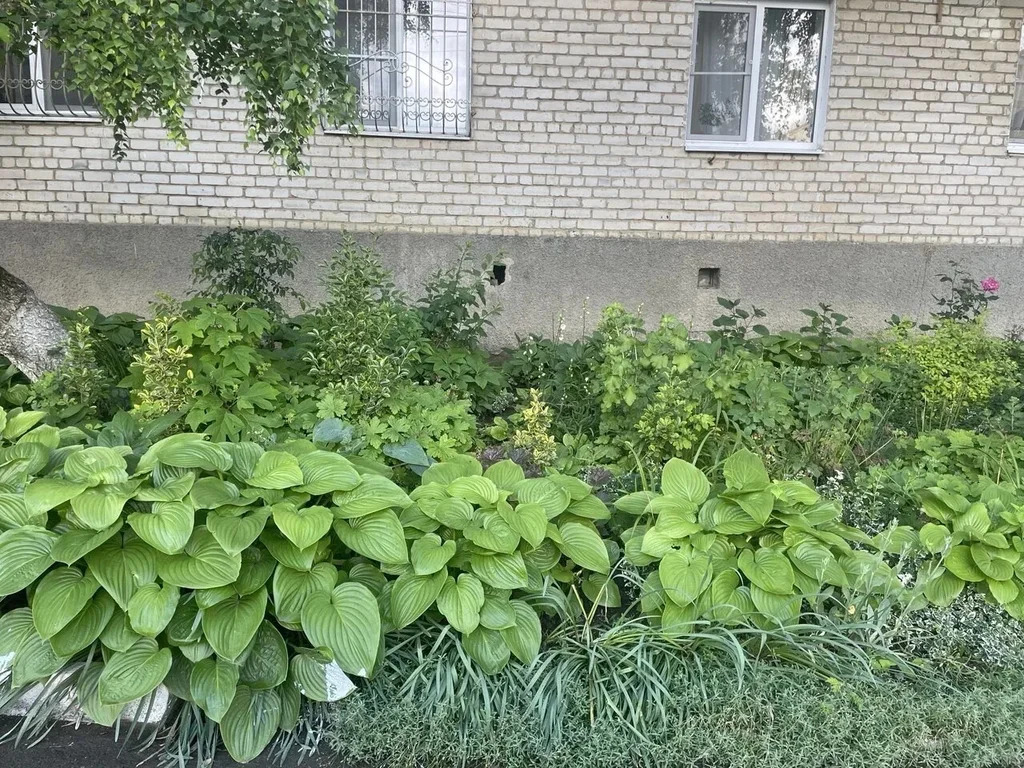 Продажа квартиры, Абинск, Абинский район, ул. Красноармейская - Фото 10