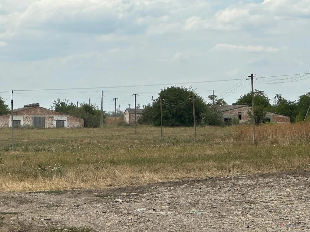 Продажа производственного помещения, Раздольное, Новоалександровский ... - Фото 1