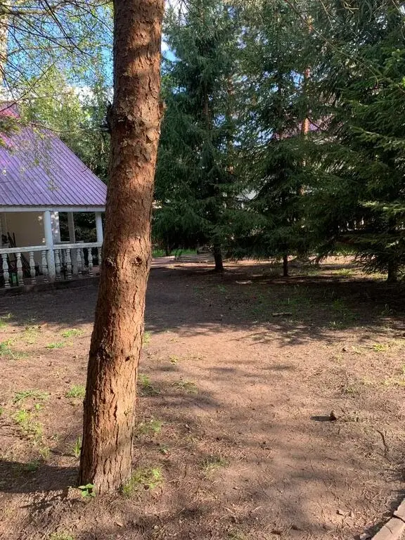 усадьба со своим озером - Фото 12