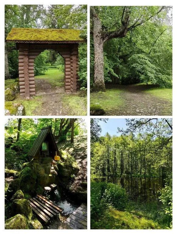Дом в д. Дулёво Гдовского р-на Псковской обл. - Фото 9