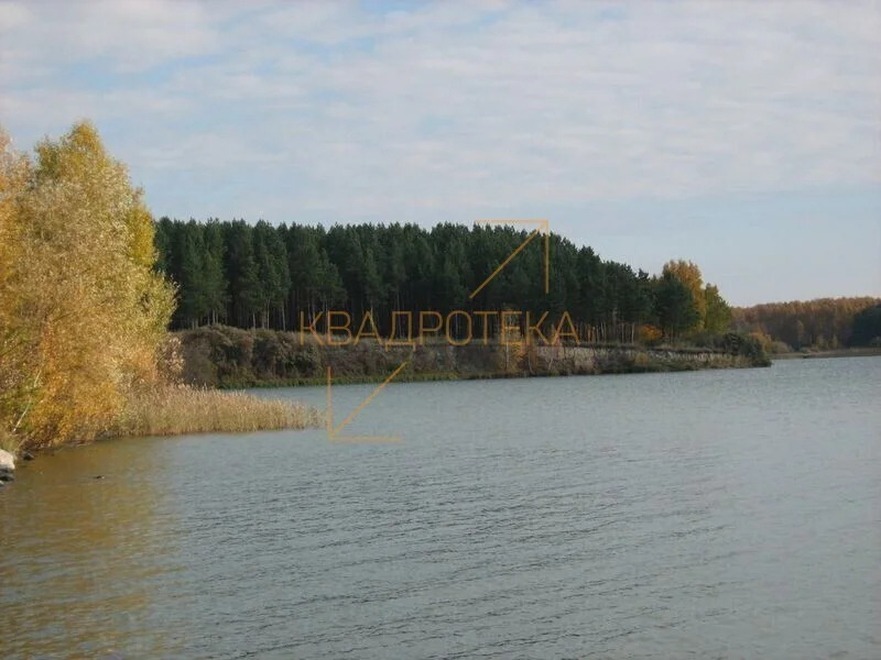 Купить Дачу В Бурмистрово Новосибирской Области