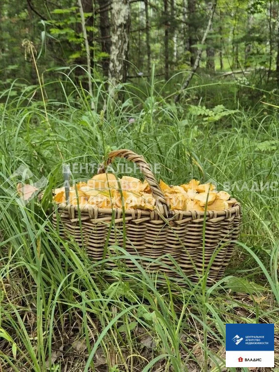 Продажа дома, Ананьино, Касимовский район - Фото 20