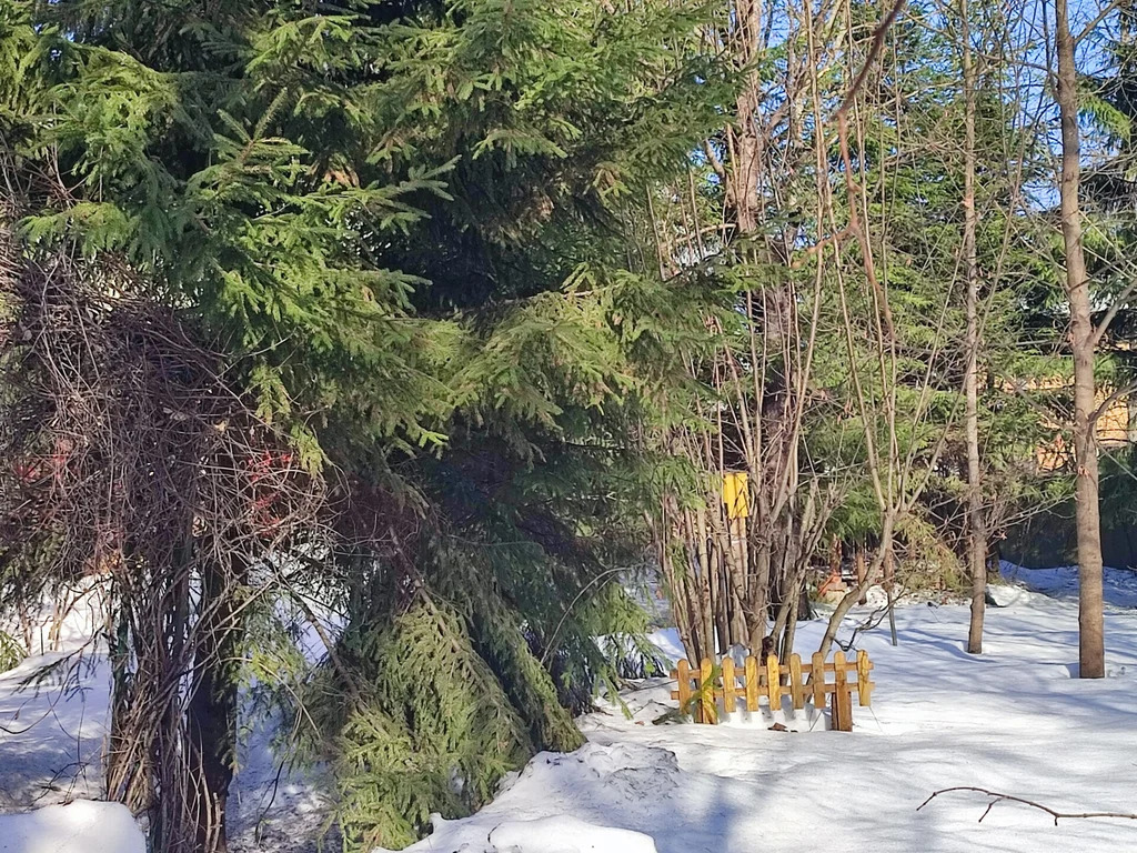 Продажа участка, Апрелевка, Наро-Фоминский район, ул. Волочаевская - Фото 5