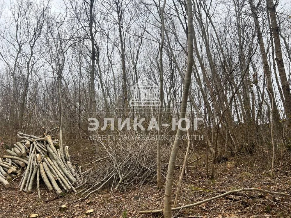 Продажа участка, Бжид, Туапсинский район, мкр. Юг - Фото 5