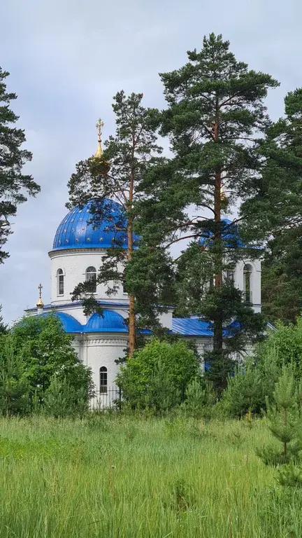 Продаю лесной участок около Храма в п. Горка - Фото 0