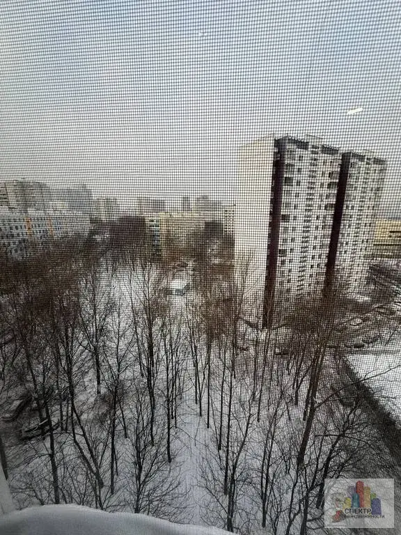 2-к. квартира, 44,4 м, 11/12 эт. - Фото 15