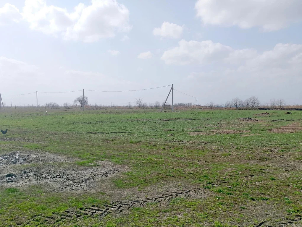 Продажа участка, Старонижестеблиевская, Красноармейский район, ул. ... - Фото 1