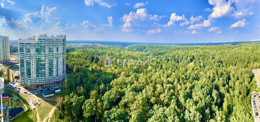 городской округ Красногорск, Красногорск, бульвар Космонавтов, д.5, ... - Фото 13