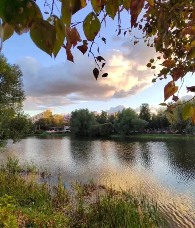 1-к. квартира, 40 м, 11/15 эт. - Фото 20