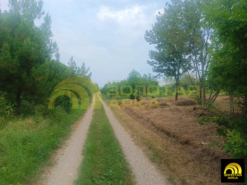 Продажа участка, Чибий, Северский район - Фото 4