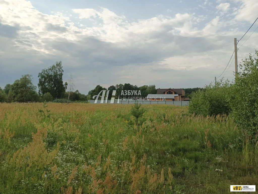 Продажа участка, Пешково, Богородский г. о., Подмосковная улица - Фото 8