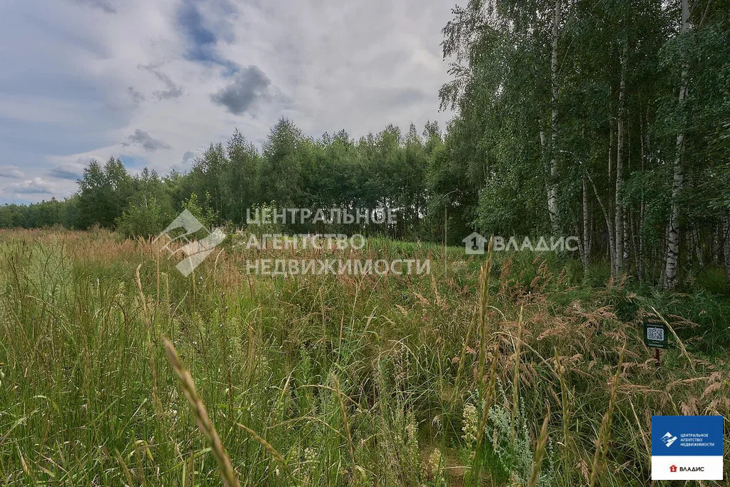 Продажа участка, Варские, Рязанский район, коттеджный посёлок Князской ... - Фото 2