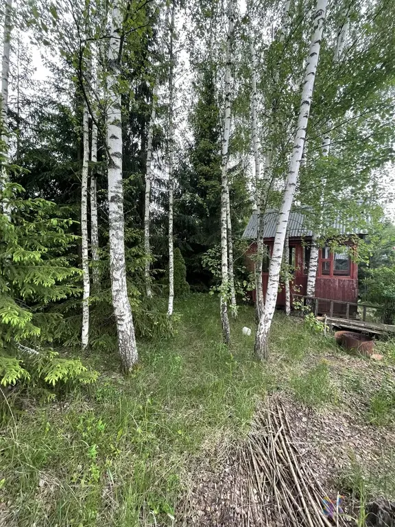 Продаю дачу 60 кв. м СНТ «Плутон», рядом с д. Волково Ступинский район - Фото 9