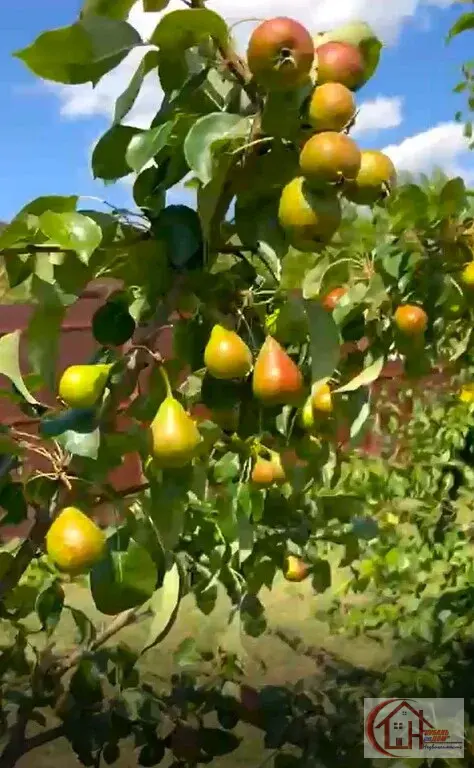 Участок-6 сот. пос. Знаменский, г. Краснодар - Фото 31