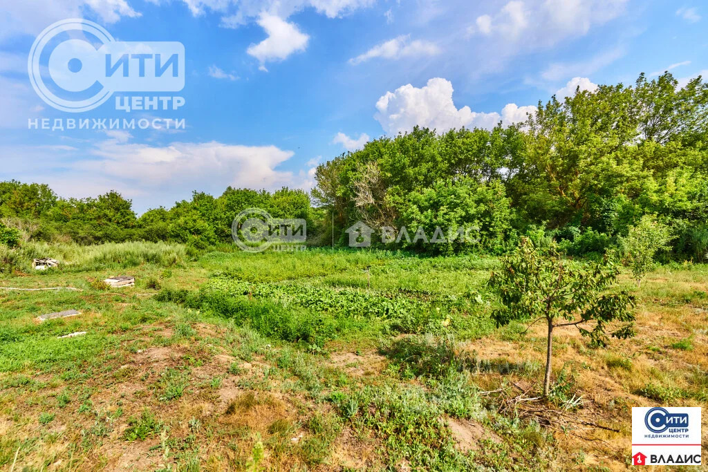 Продажа дома, Аношкино, Лискинский район, ул. Конечная - Фото 14